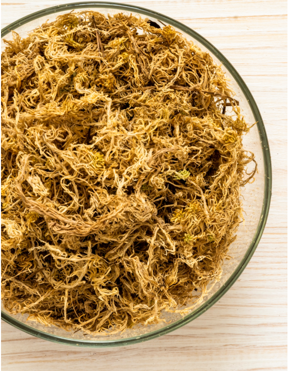 Natural Sphagnum Moss
