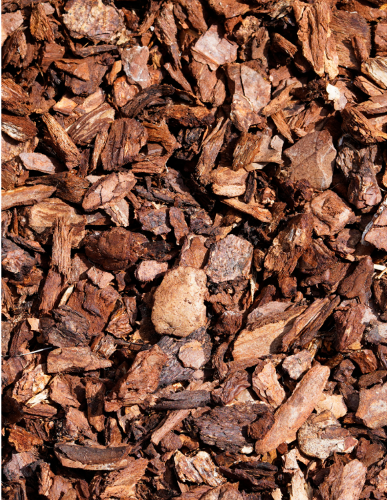 Natural Orchid Bark