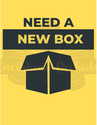 NewShippingBox