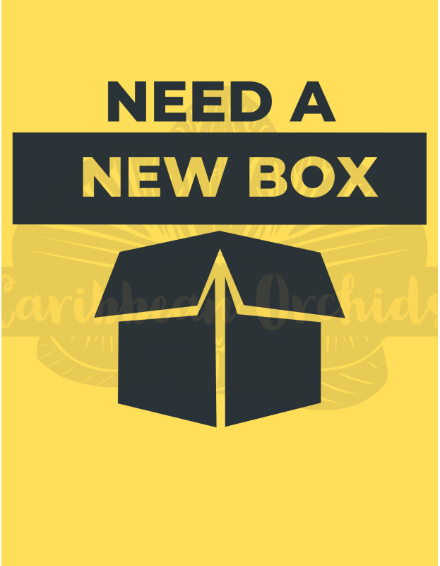 NEW Shipping Box