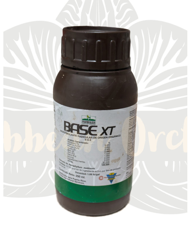 Base XT