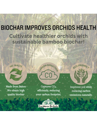 Caribbean Orchids Biochar Bamboo