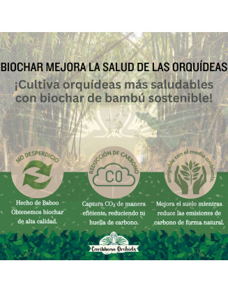 Caribbean Orchids Biochar Bamboo