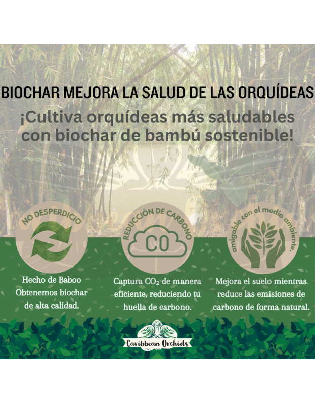 Caribbean Orchids Biochar Bamboo