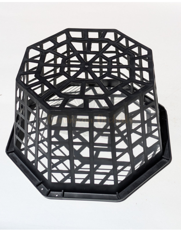 Black Plastic Octagonal Orchids Basket