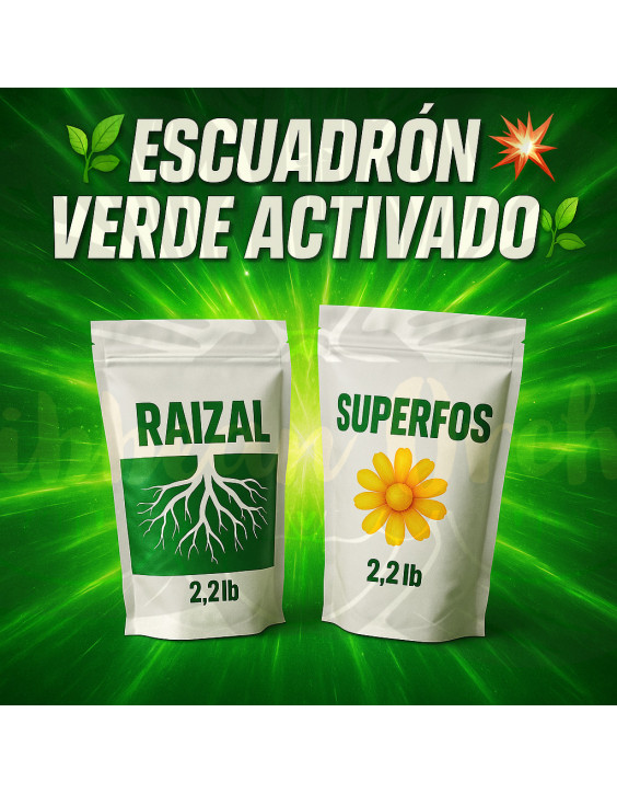 Escuadrón Verde Activado